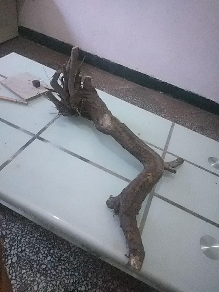 木艺/雕刻 麻梨疙瘩