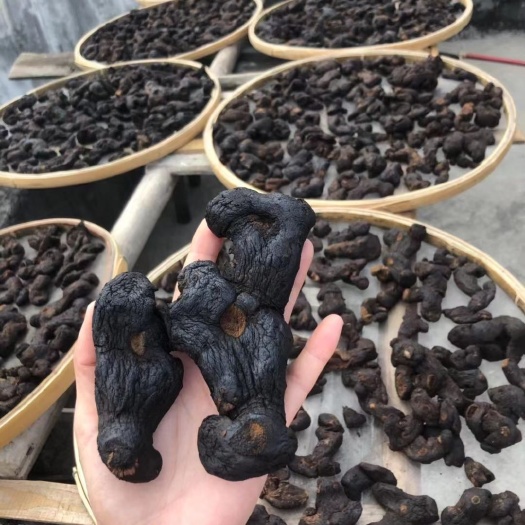 新兴县 黄精