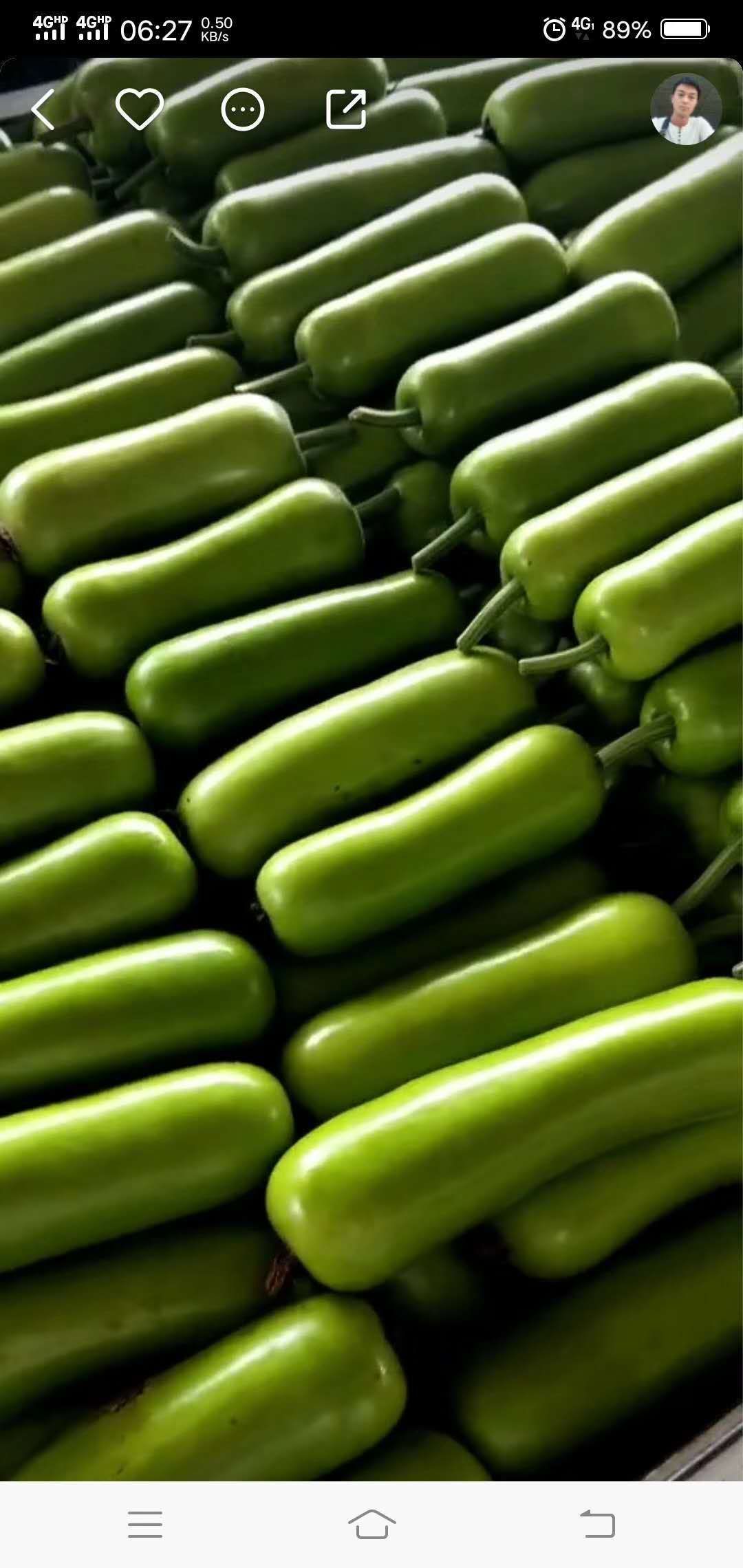 精品瓠瓜，产地直供