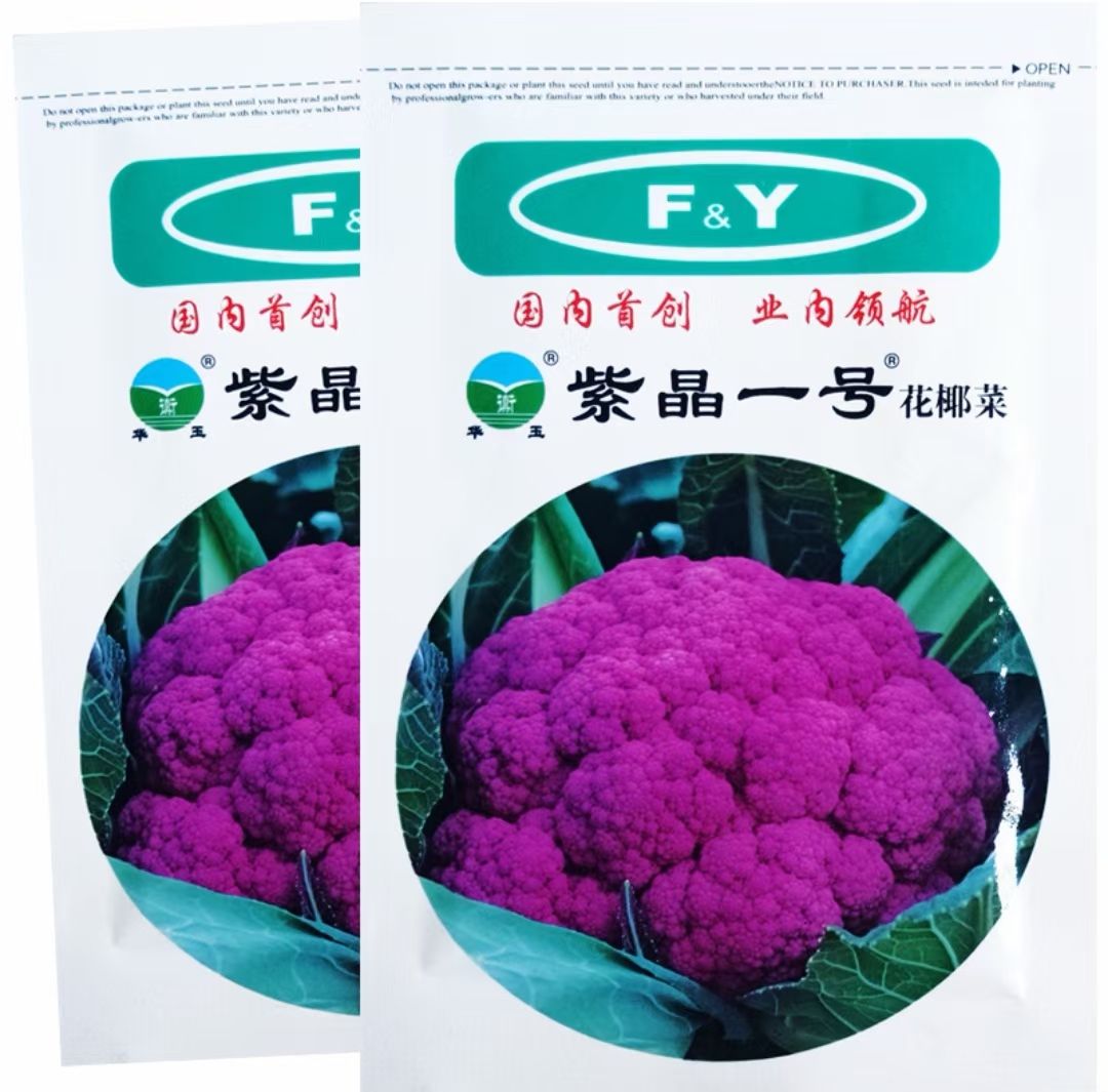 紫色菜花种子 山东寿光 发货 包邮