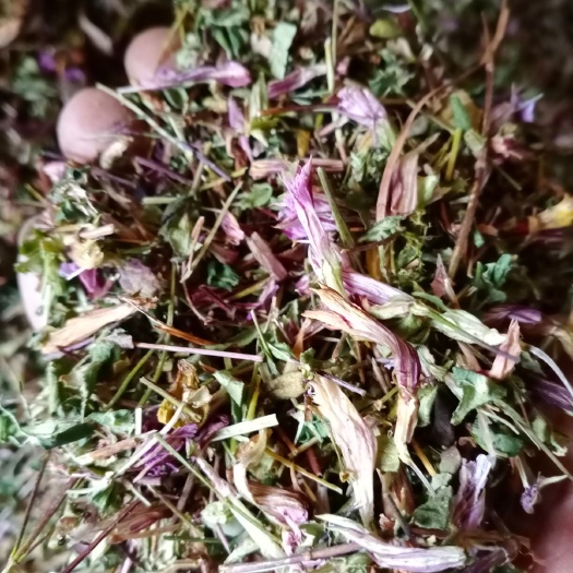 红花  龙胆草，龙胆草均有货，切断2~3公分，干净无杂志长期