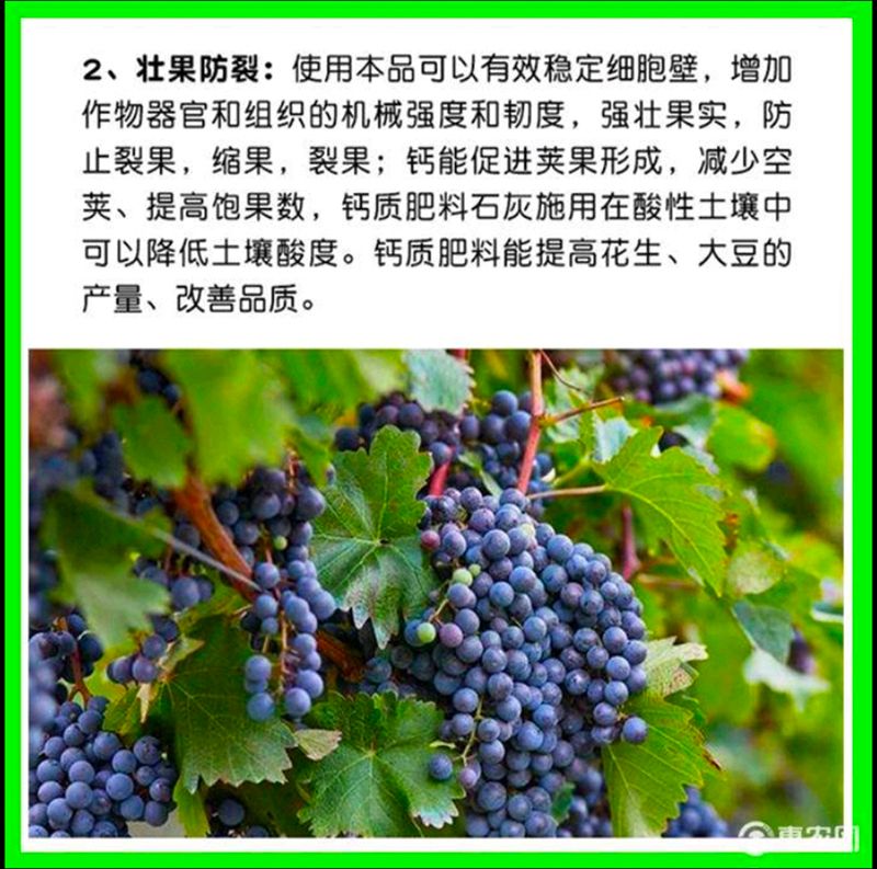 稼稼乐糖醇钙**果着色****脐腐生长点坏死干烧心软腐苦痘病