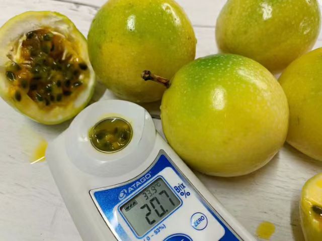 海口海南省黄金百香果