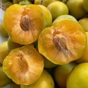 镇宁县正宗六马蜂糖李，上市了，[十斤装]