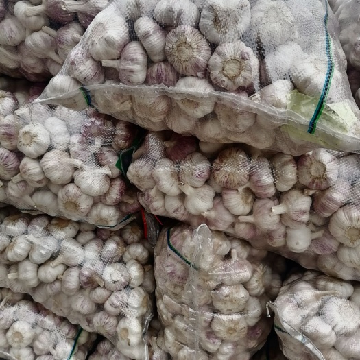 邳州市精品净蒜红皮蒜