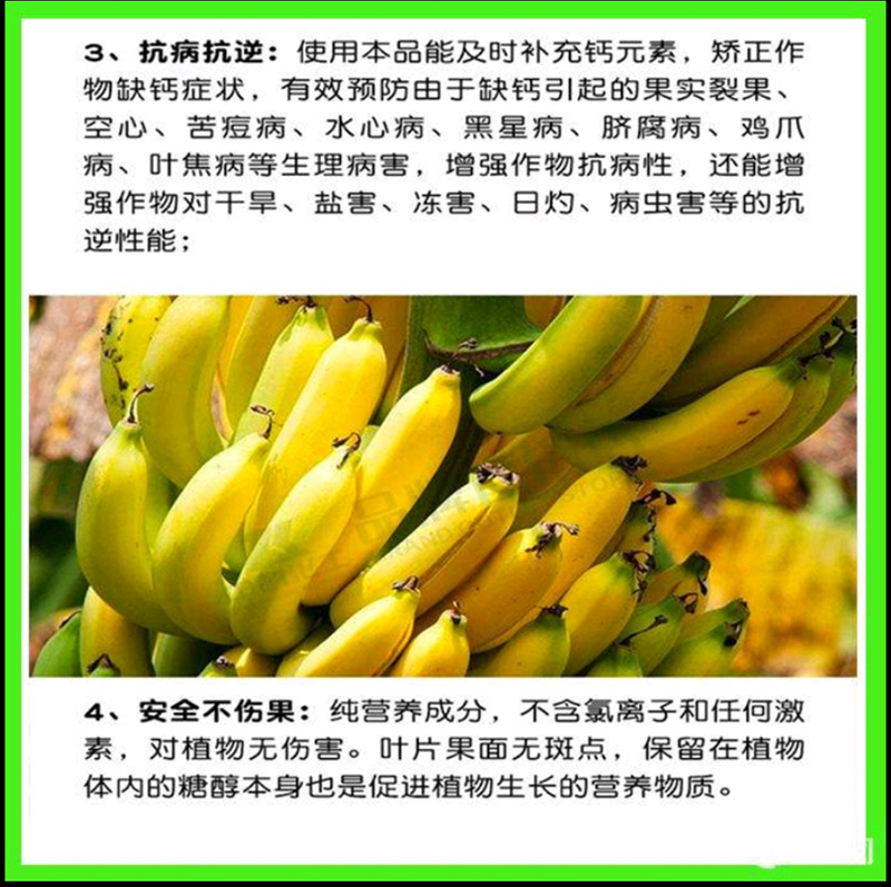 稼稼乐糖醇钙**果着色****脐腐生长点坏死干烧心软腐苦痘病