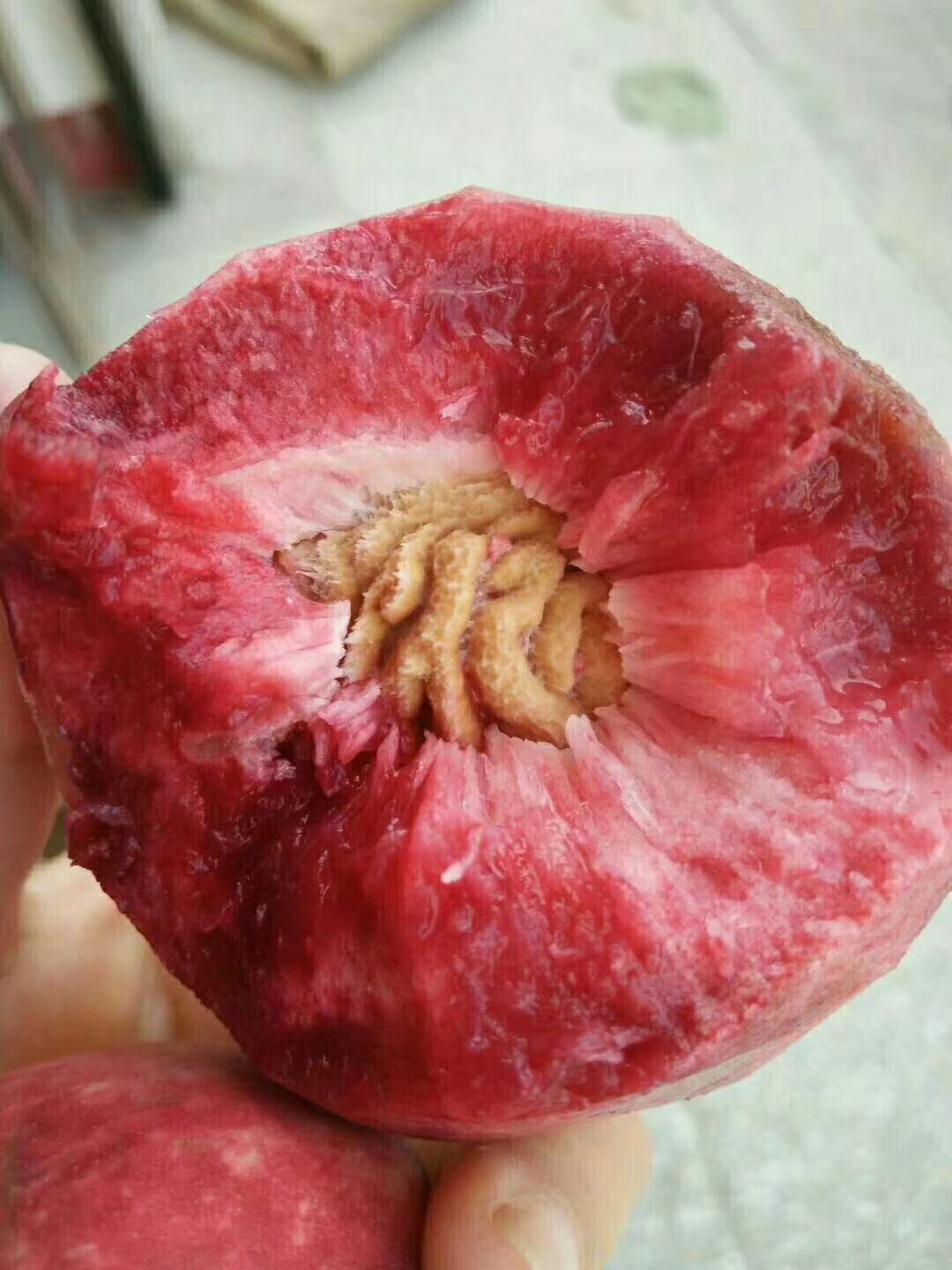  桐柏县高寨村朱砂红桃（又名血桃）