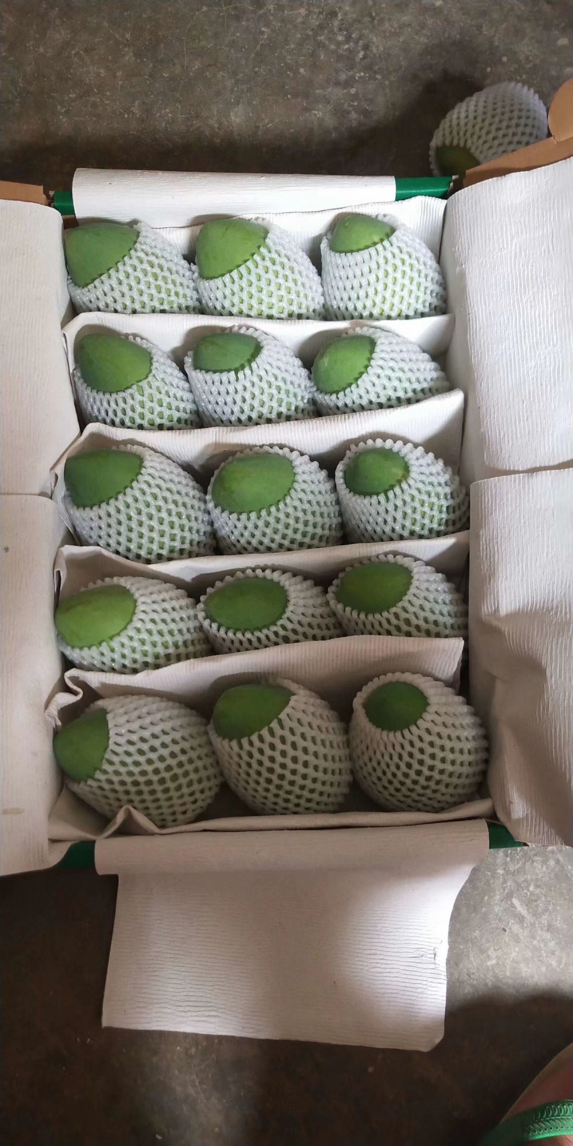 桂七芒 广西热带水果，需要的朋友赶紧联系，一件也包邮