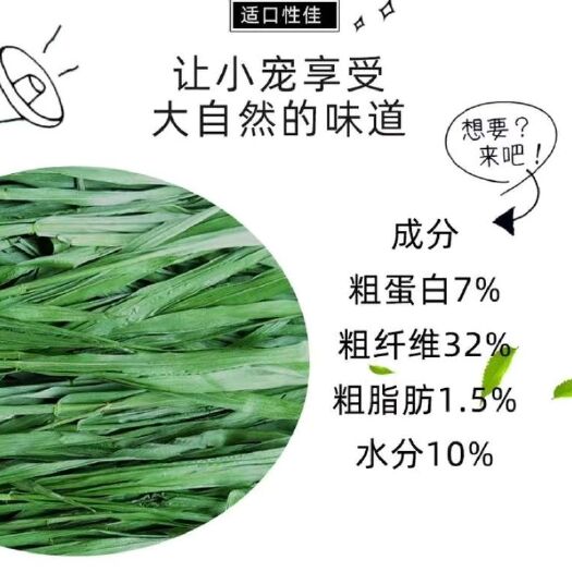 岷县青绿饲料  烘干提摩西草草龙猫荷兰猪磨牙干草牧