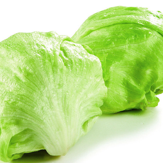 沽源县坝上错季蔬菜球生菜，绿色天然无公害，水分足。