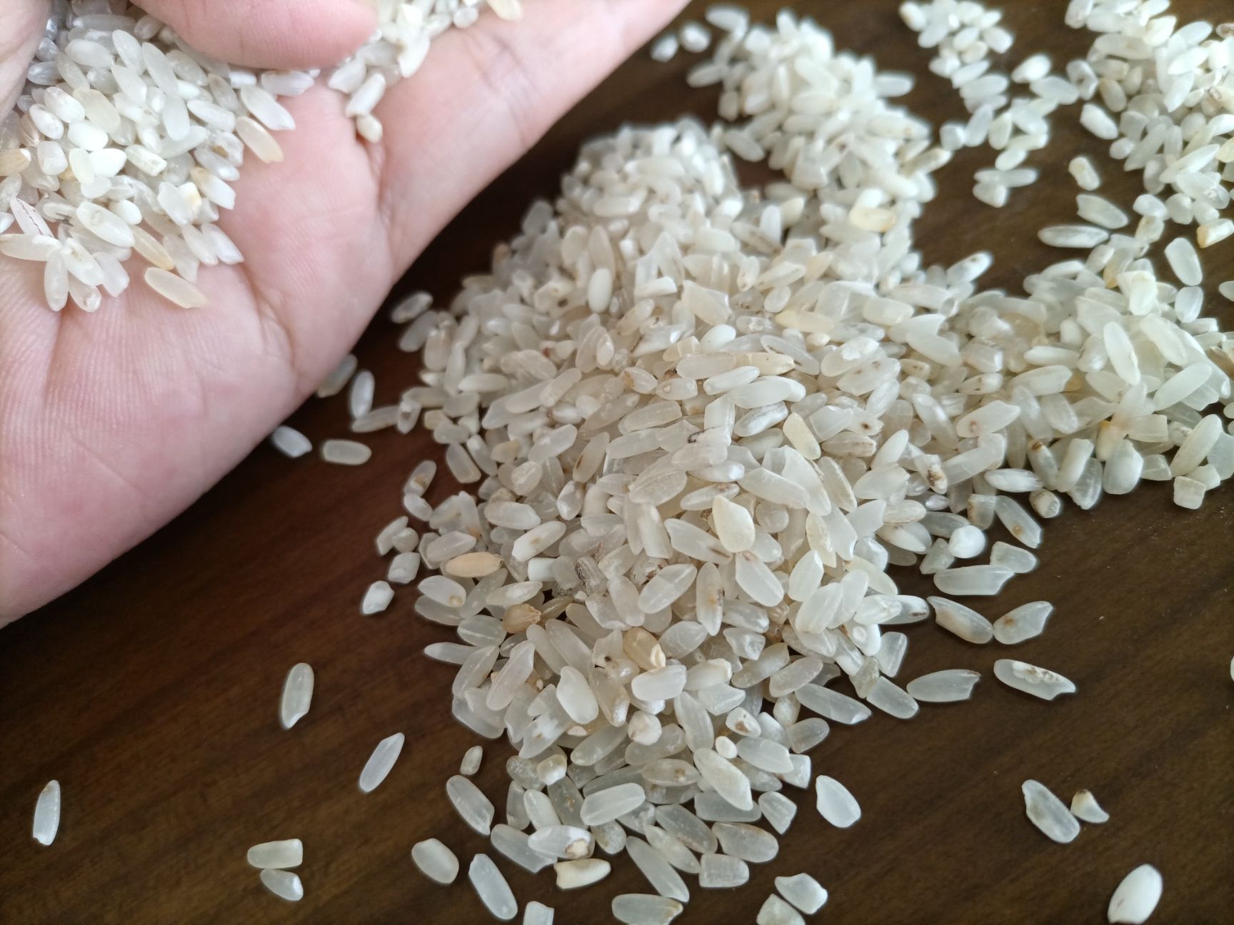 新到鸡食米饲料米碎米白净碎米长粒鸡米现货