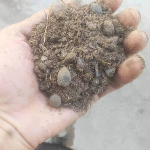 漳州风干羊粪