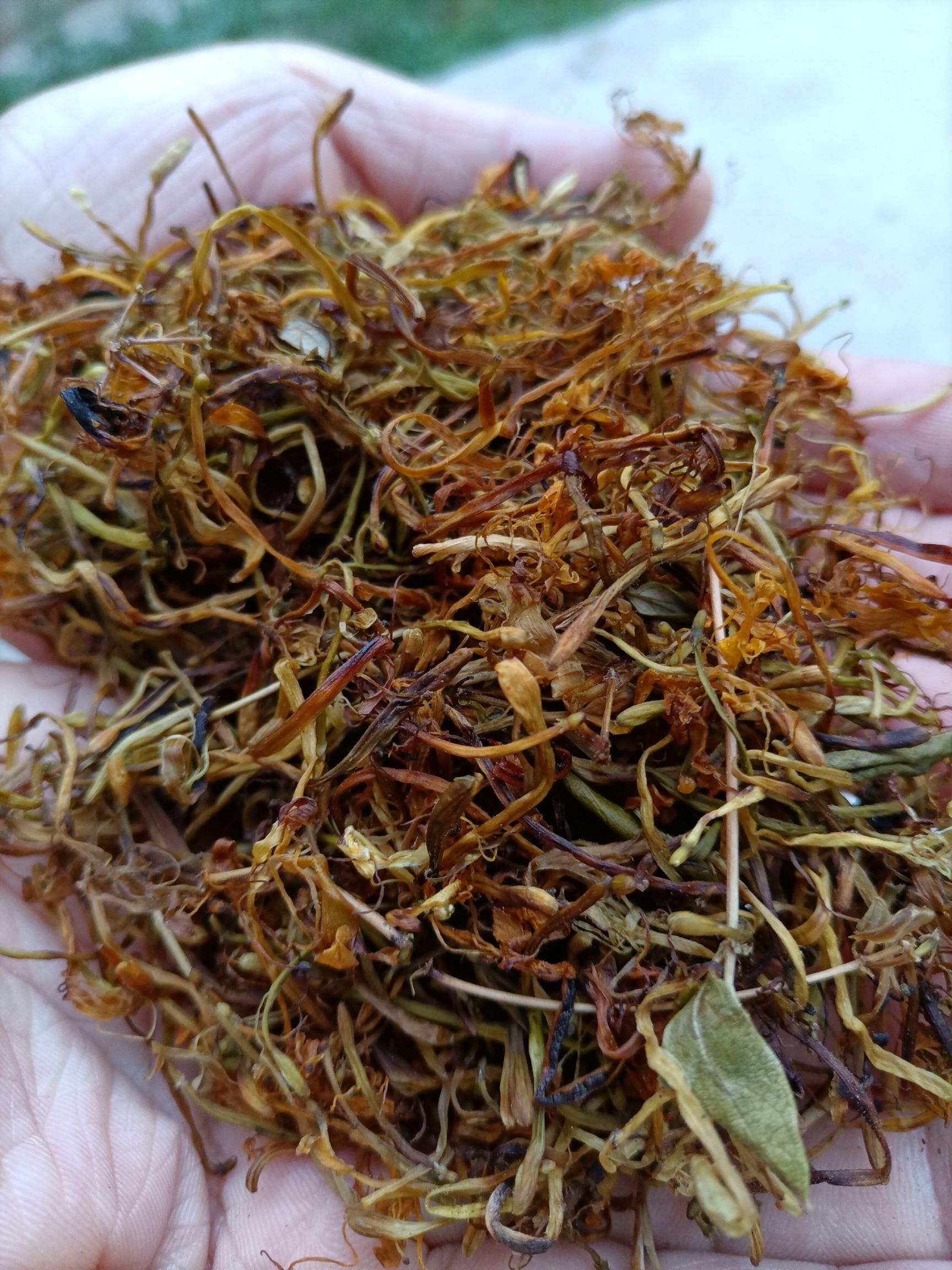 金银花，天然，全干，采自云南富宁县石山区，阳光晒，无霉无硫。