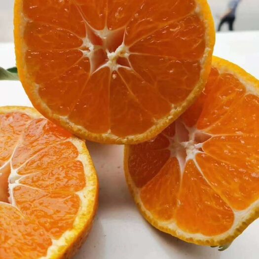 宜昌耙耙柑 ，80起步果大皮薄口感纯甜！