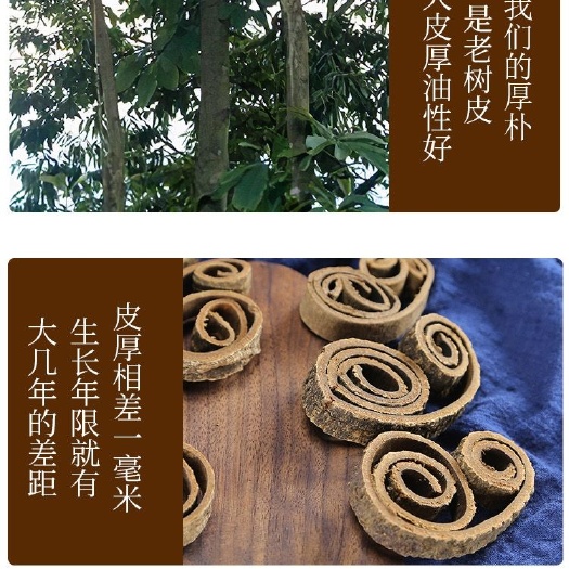 城固县现货厚朴，药效好，含量高，欢迎全国各地药商前来采购，合作共赢