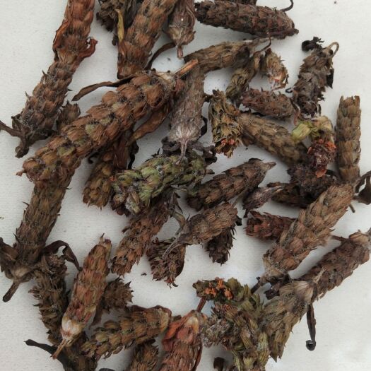 保康县夏枯草长，在路边上的草也可以泡水喝的夏枯草