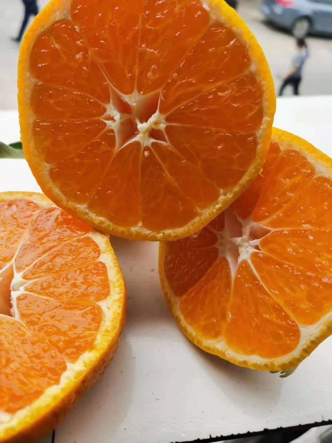 耙耙柑 .早晚熟蜜桔货源充足，价格便宜。