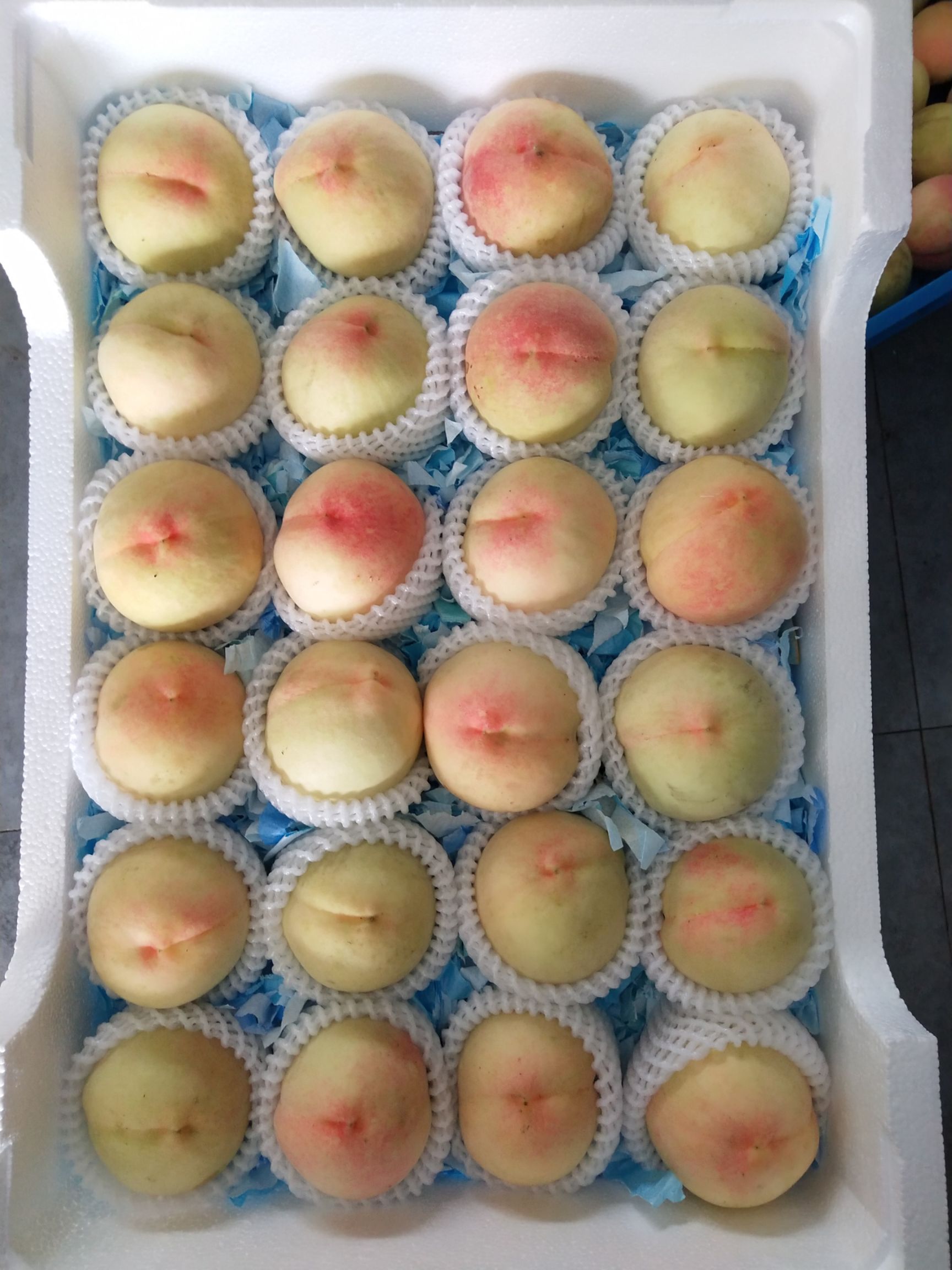 赤月湖景玉露圆梦水蜜桃