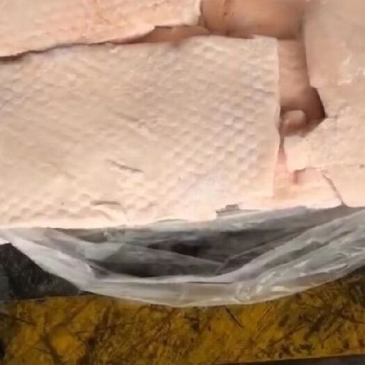 广州猪肥膘 国产肥猪脊膘腿膘
