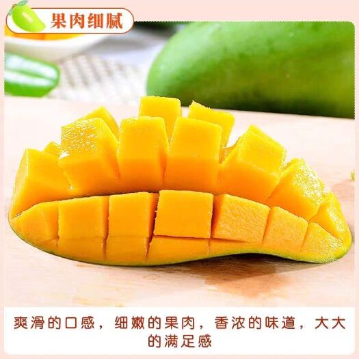乐业县金煌芒 万亩产地货源
