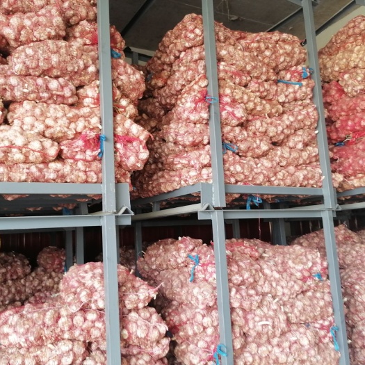 邳州市原皮蒜红皮蒜，质量美，价格合理