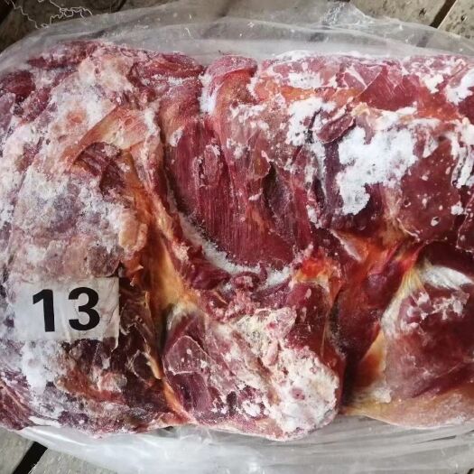 郑州鲜马肉  精修马肉