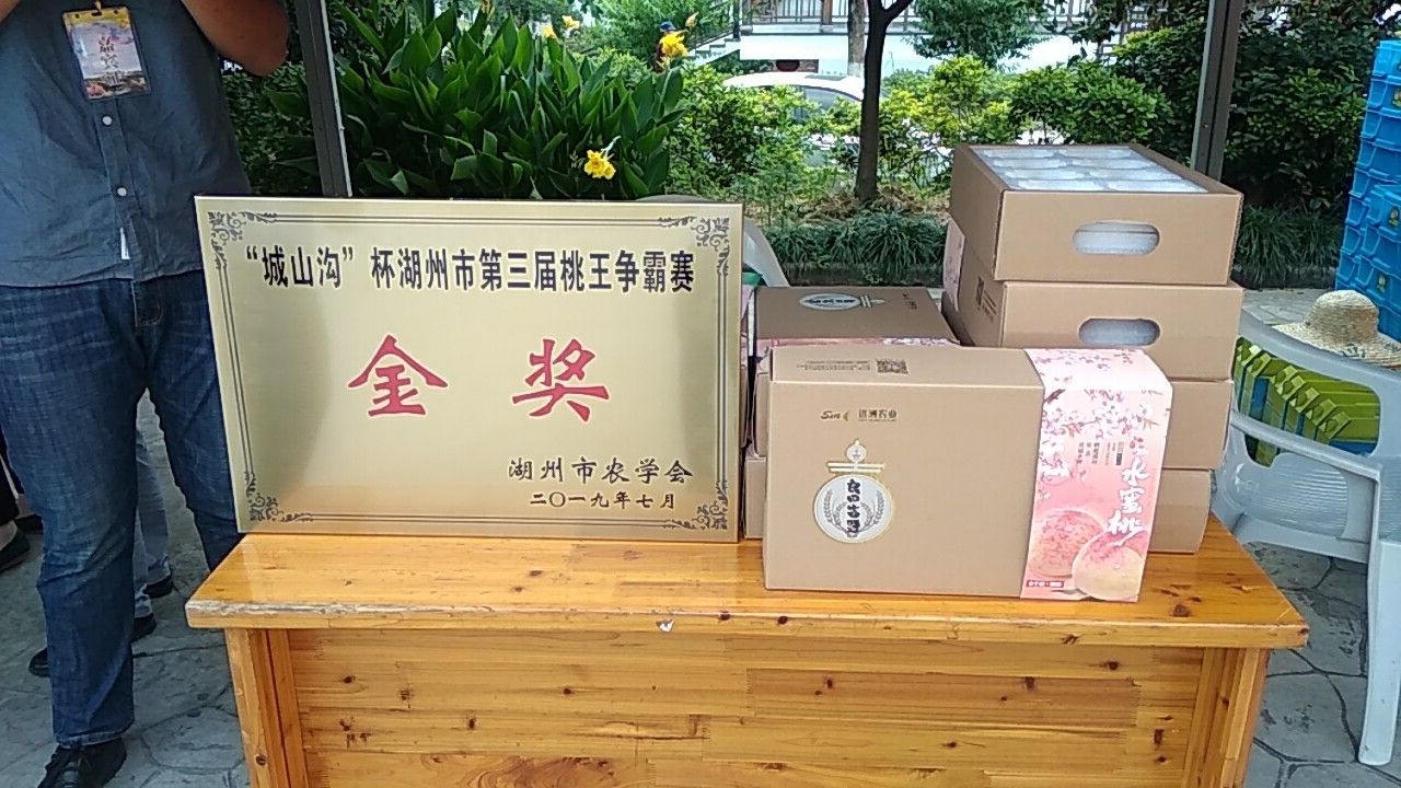5两以上8个装赤月湖景雨露水蜜桃