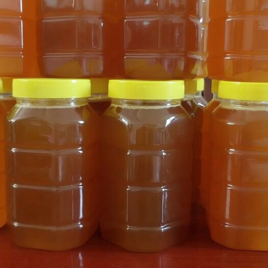 土蜂蜜  云南深山树洞蜜500g，（包邮）玻璃瓶。塑料瓶。