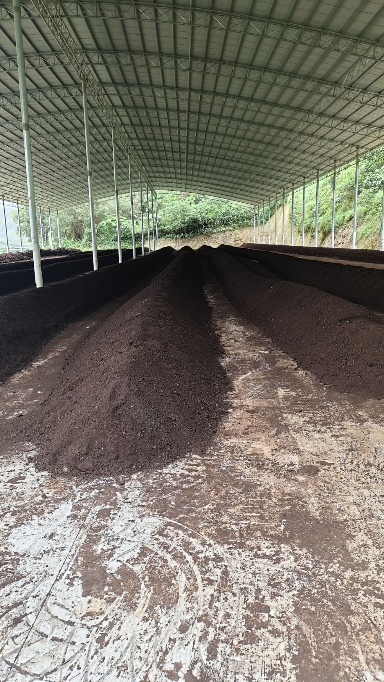  纯牛粪发酵有机肥 ，场地一手货源，量大从优