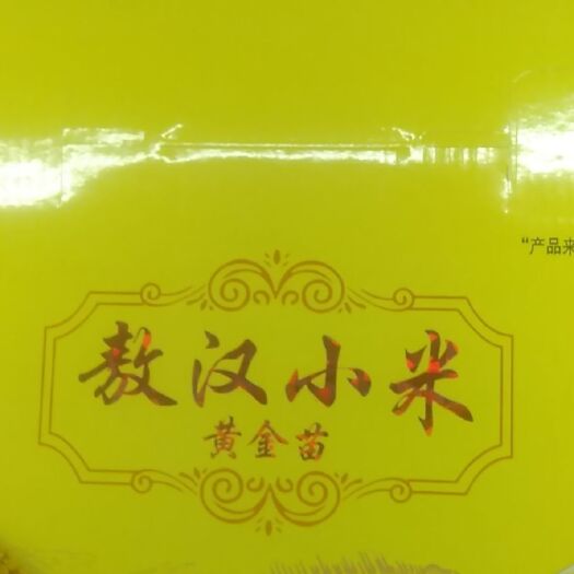 敖汉旗黄小米 敖汉生态小米