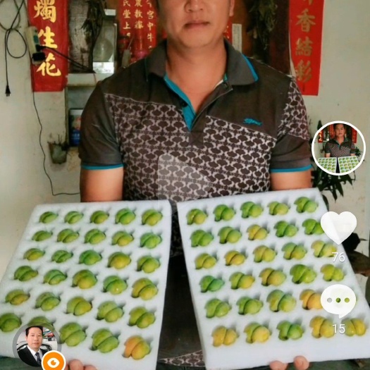  正崇六马蜂糖李果农