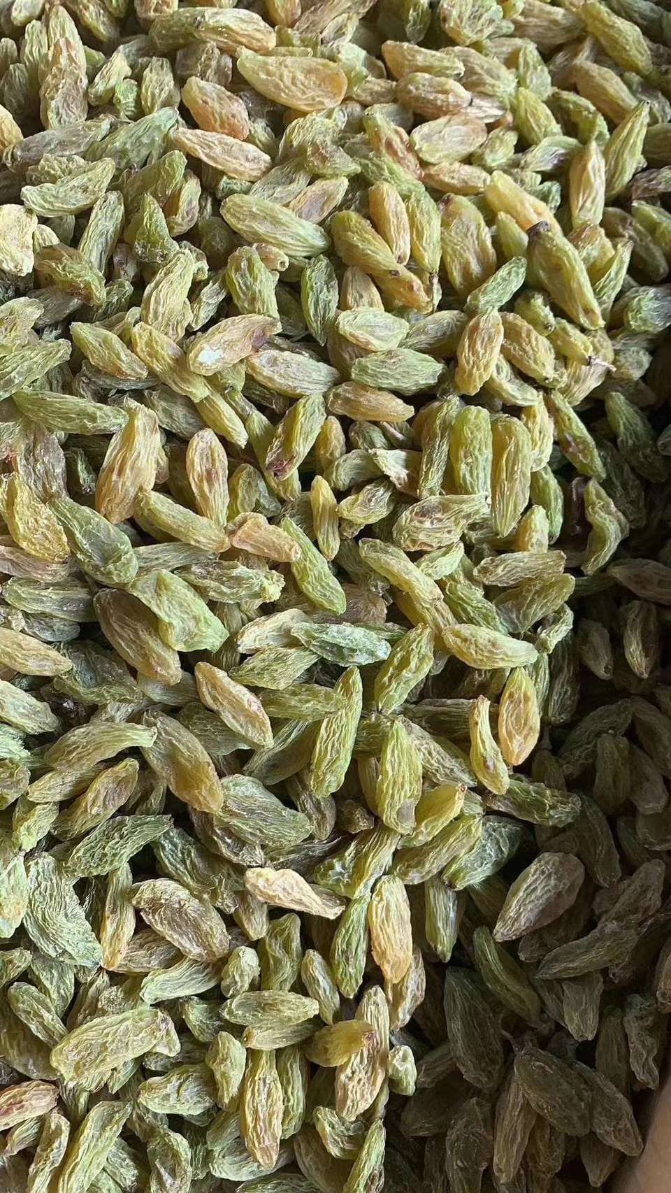 绿葡萄干 绿宝石葡萄干