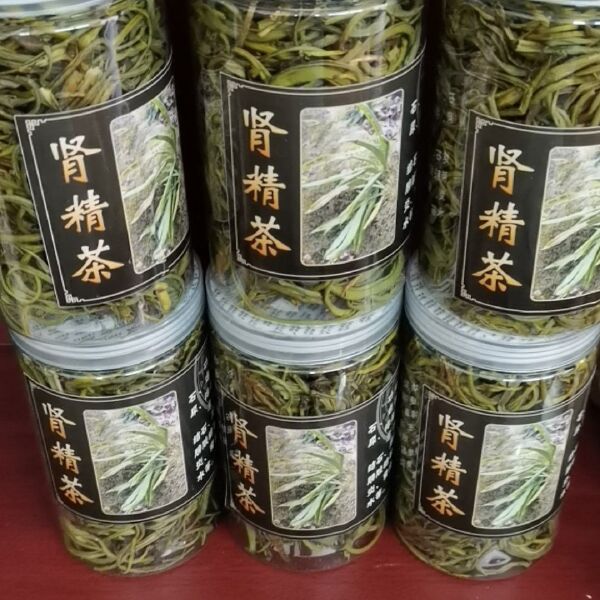化石草，肾精草