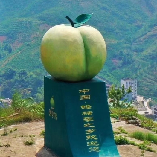 镇宁县蜂糖李 夏日炎炎，有“李”超甜~在30℃的夏天，给你的甜蜜