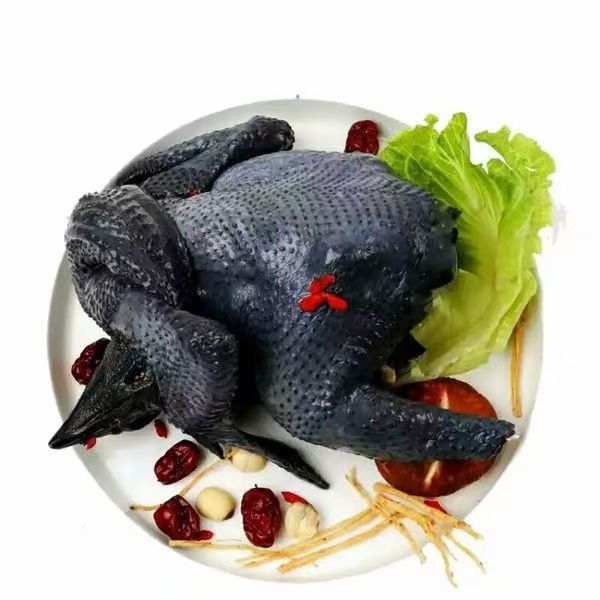 五黑鸡苗  五黑鸡一绿鸡苗混苗公母苗散养土鸡蛋鸡苗