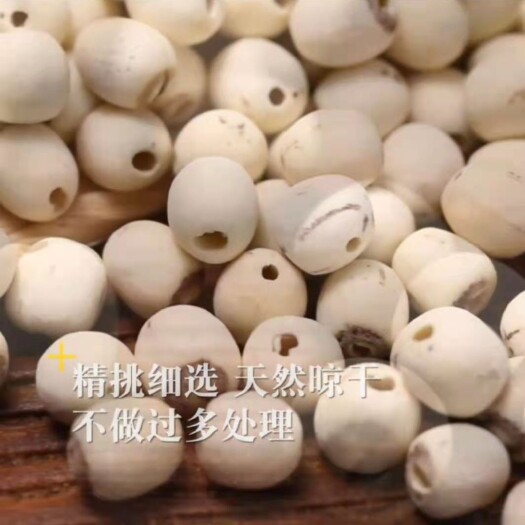 亳州莲子，各种规格，红莲白莲