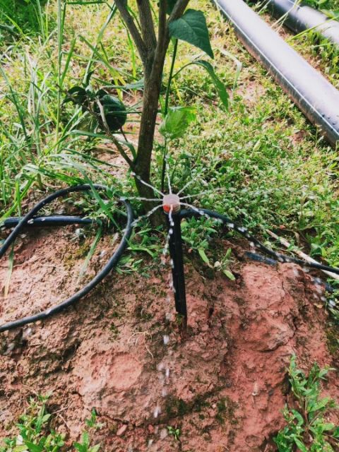喷头支架  地插微喷系列 地插微喷 雾化微喷 360度旋转喷