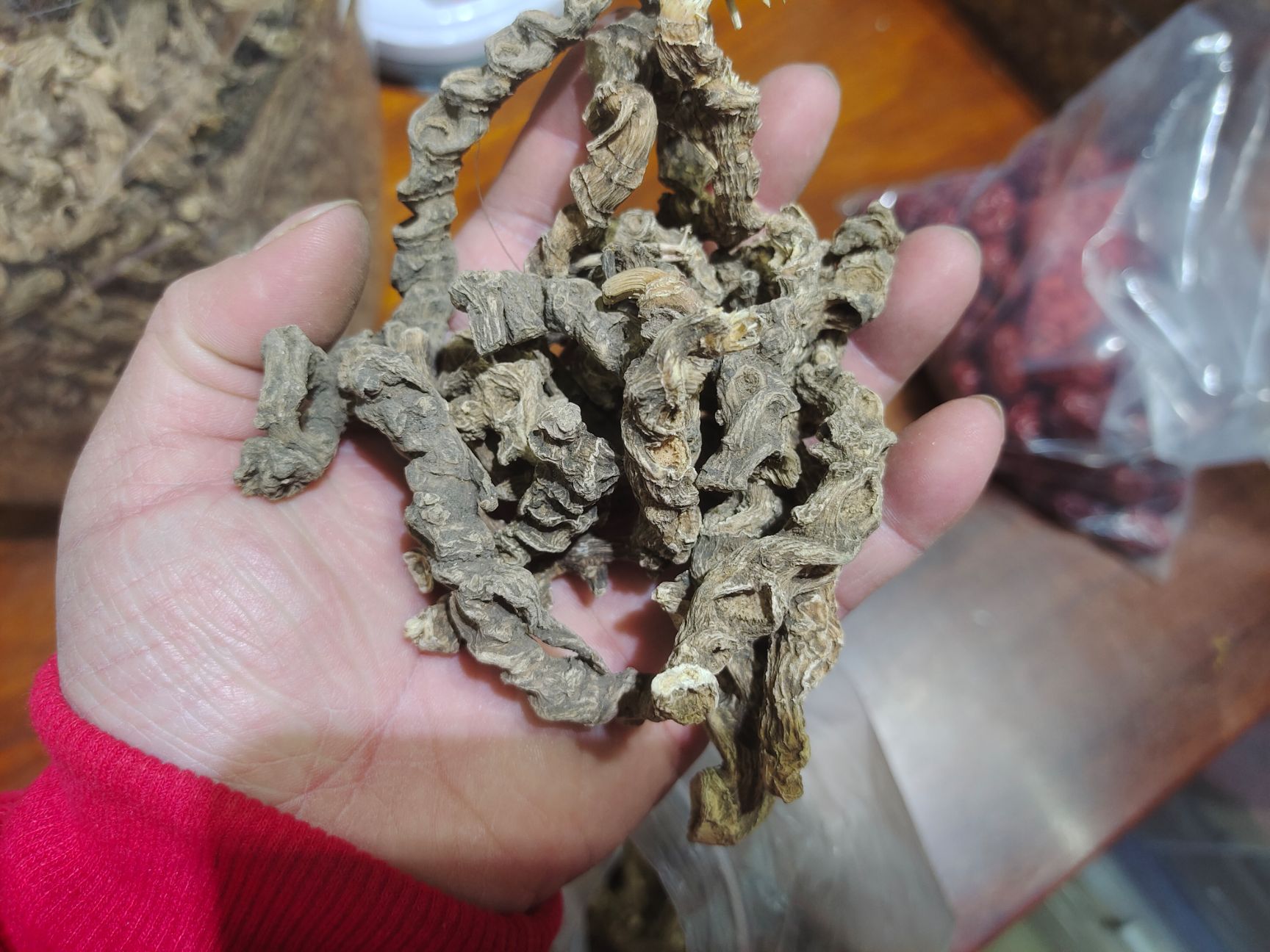 竹节参