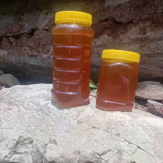徽县土蜂蜜，来自秦岭山脉，真正的土蜂蜜