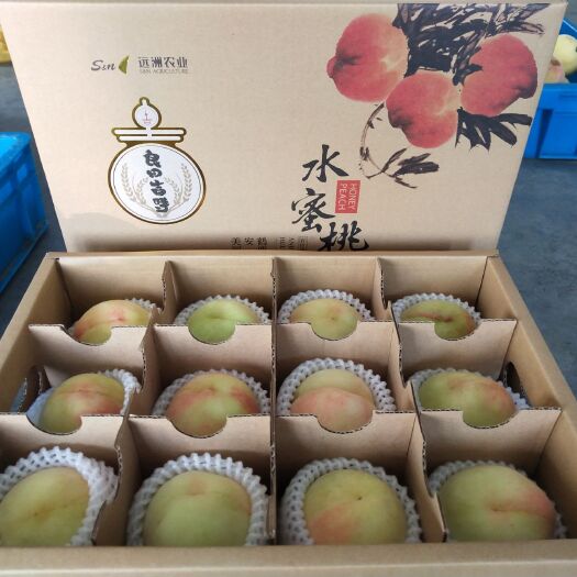安吉县蜜桃  12个装4两以上高端礼盒