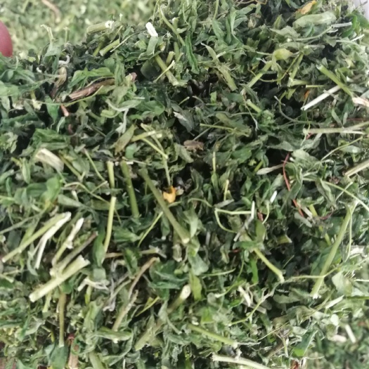阳山县相思藤鸡骨草