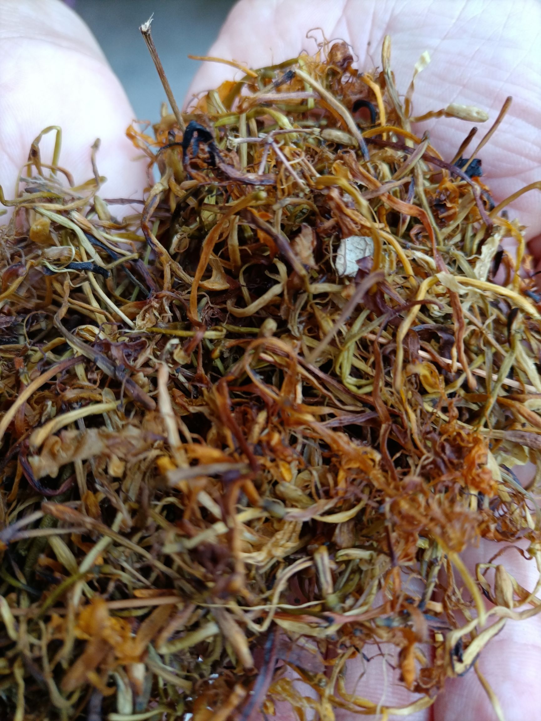 金银花，天然，全干，采自云南富宁县石山区，阳光晒，无霉无硫。