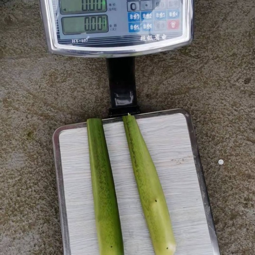 惠水县 茭白