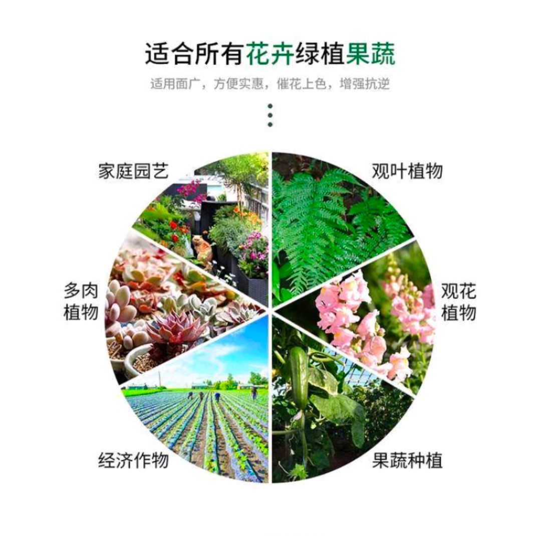 硼肥授粉受精提高座果率保花保果预防皴皮缩皮小果软果畸形果缩果