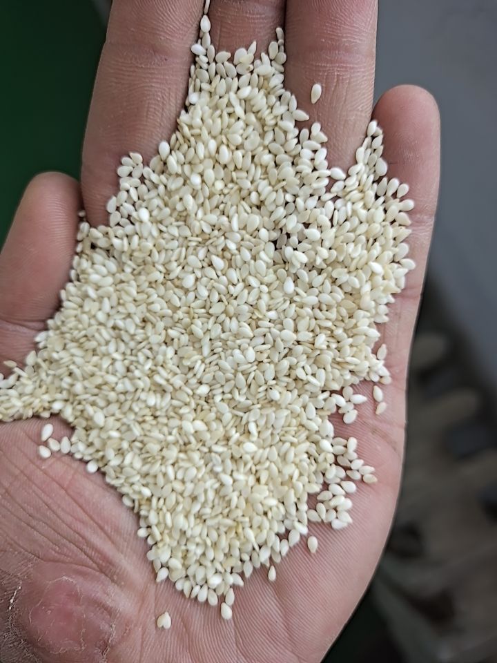 品种名 白芝麻 提供服务:协助找车,按需包装