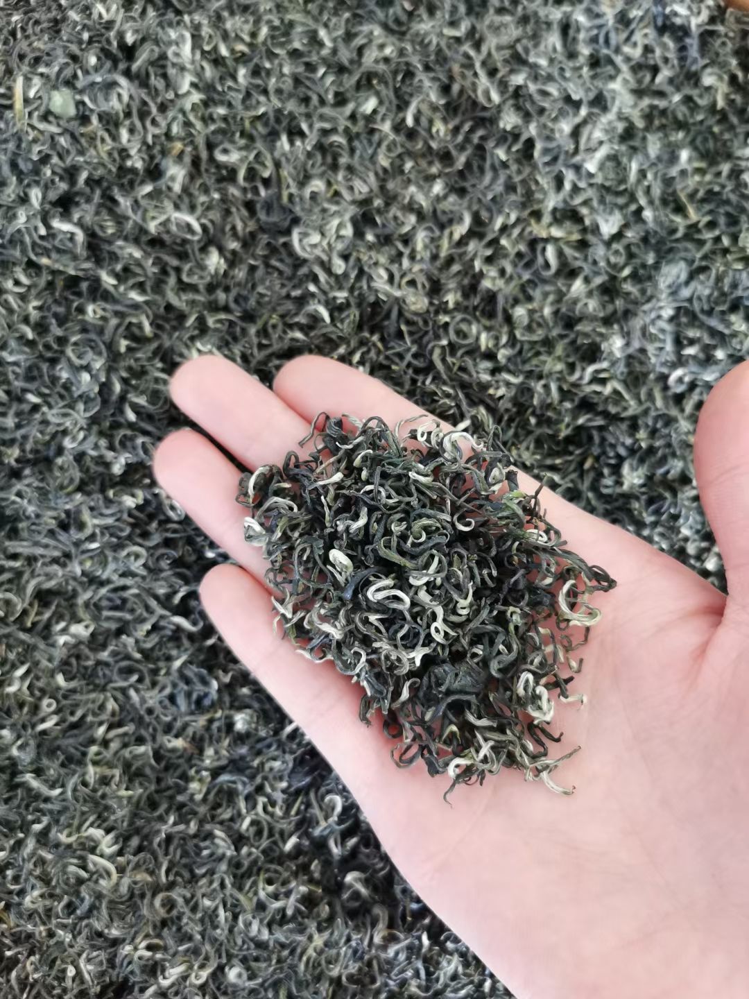 精品碧螺春 2021新茶 绿茶