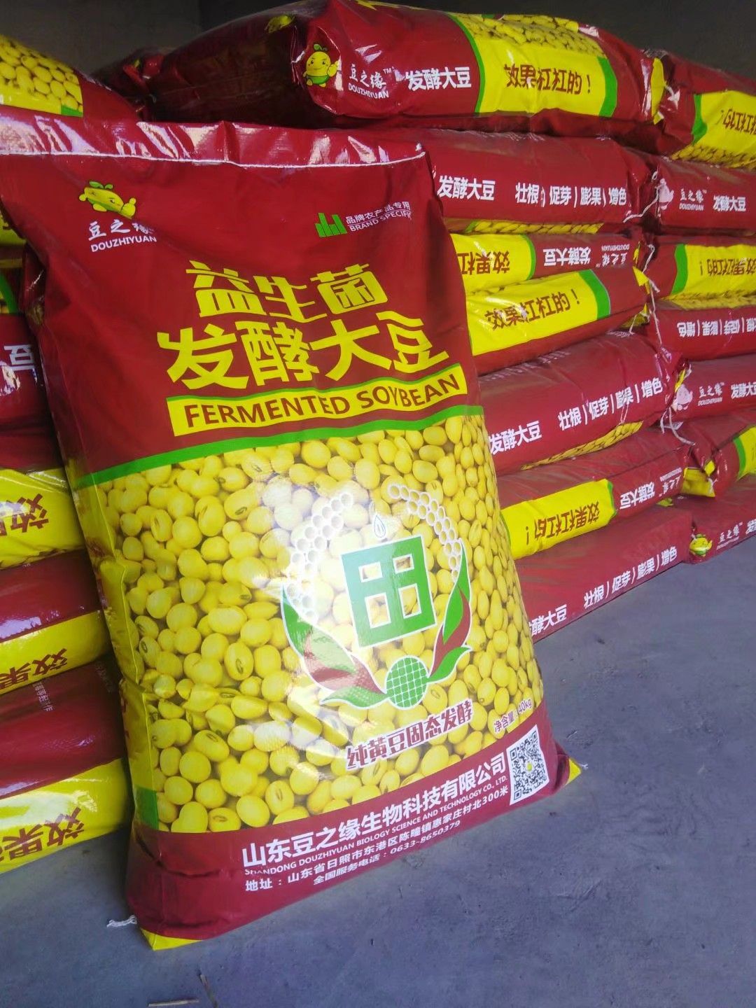 发酵大豆 深度发酵 富含芳香风味物质 提高农产品品质与产量