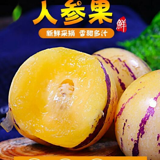 石林县人参果  自产自销，产地就是说服力