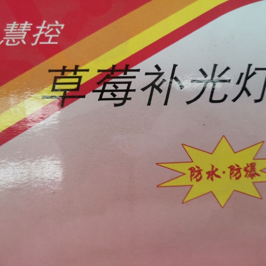 草莓补光增温灯 增加草莓抗寒能力提高棚温改善草莓提质增产口感