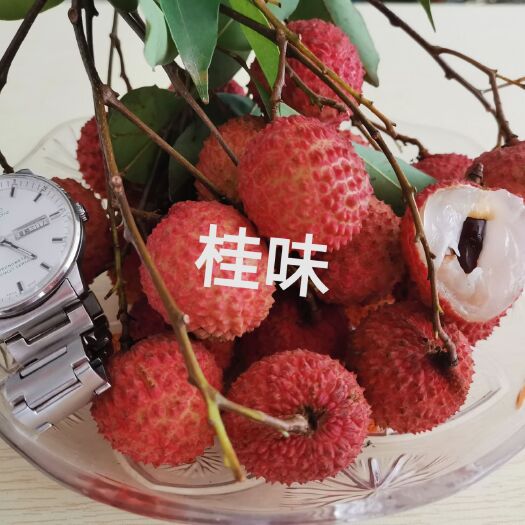 惠东县桂味荔枝 广东惠州特级桂味